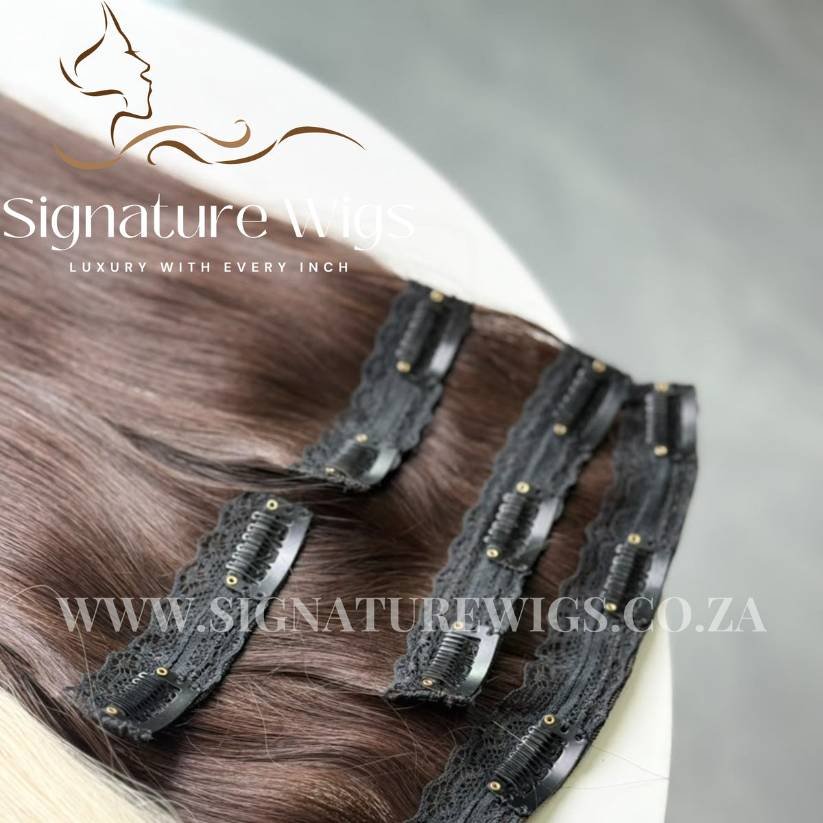 The signature Straight Clip ins - Authentic Raw Vietnamese Hair Clip ins